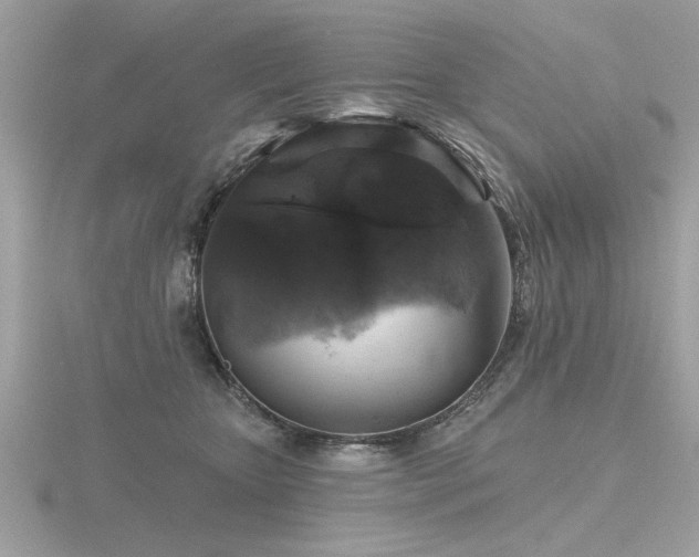 X0000116590467200912101543