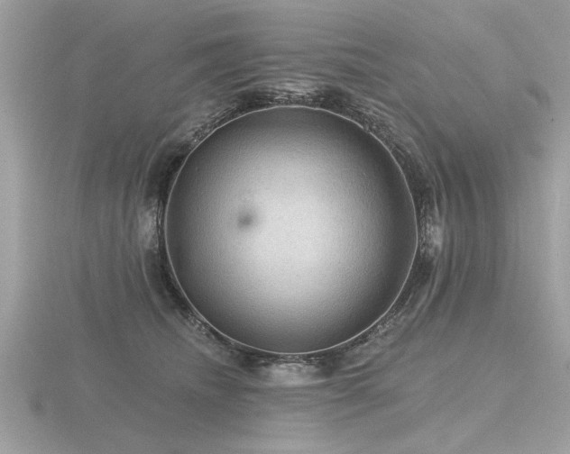 X0000116590468200912101543