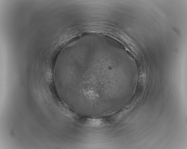 X0000116590469200912101543