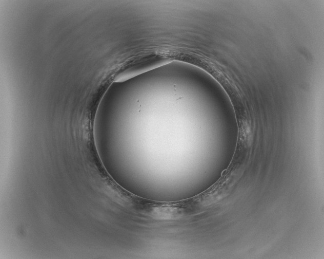 X0000116590470200912101543