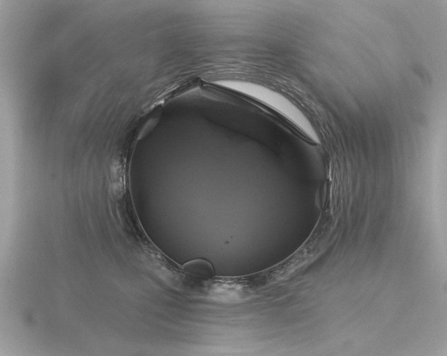 X0000116590471200912101543