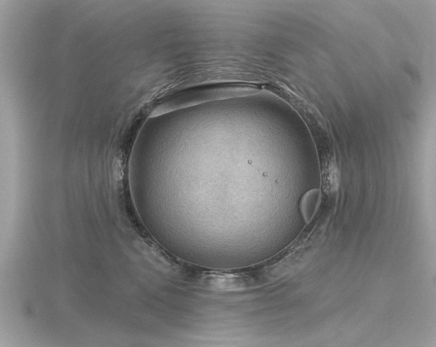 X0000116590472200912101543