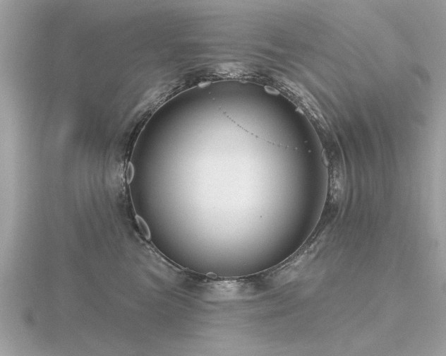 X0000116590473200912101543