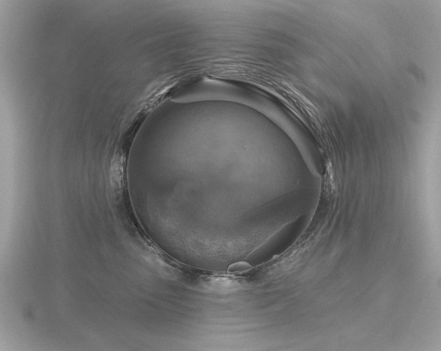 X0000116590475200912101543