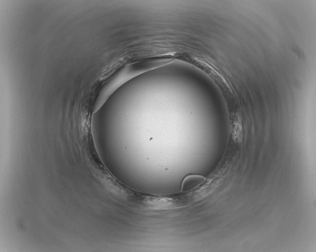 X0000116590476200912101543