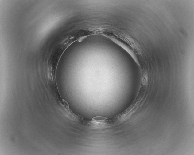 X0000116590477200912101543