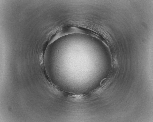 X0000116590478200912101543