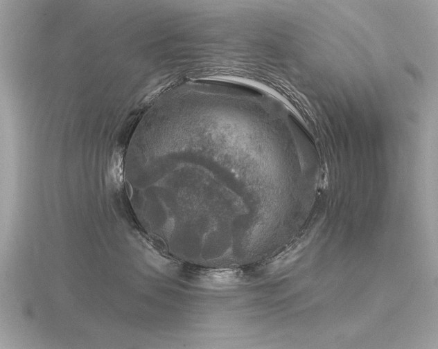 X0000116590479200912101543