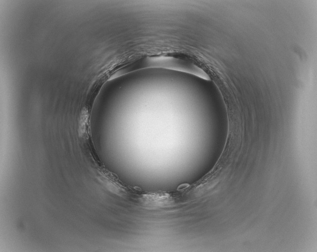 X0000116590480200912101543