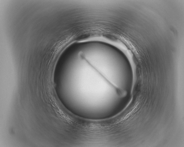 X0000116590481200912101542