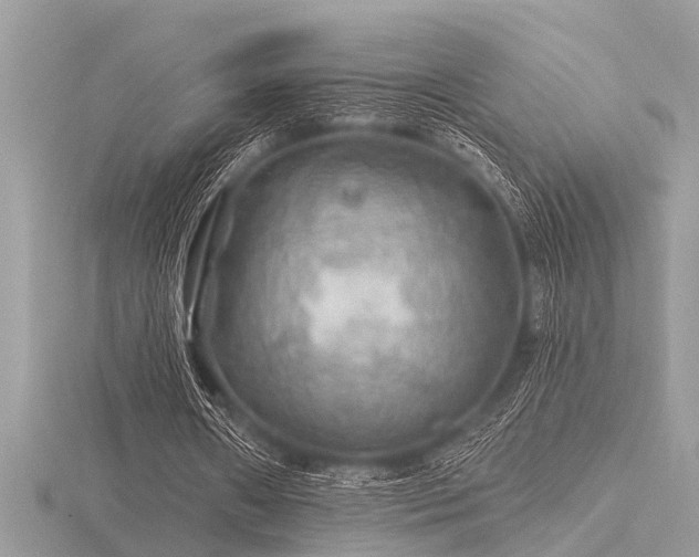 X0000116590482200912101542