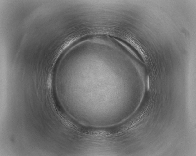 X0000116590483200912101542