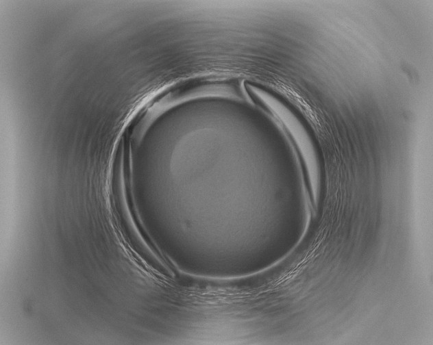 X0000116590484200912101542