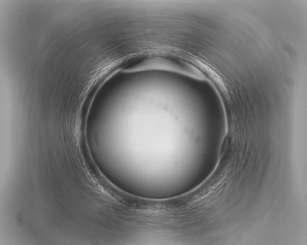 X0000116590485200912101542