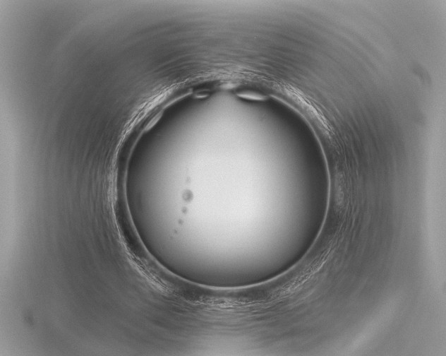 X0000116590486200912101542