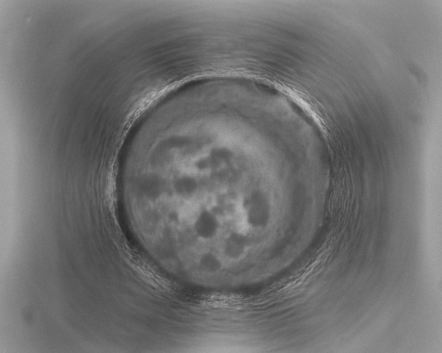 X0000116590487200912101542