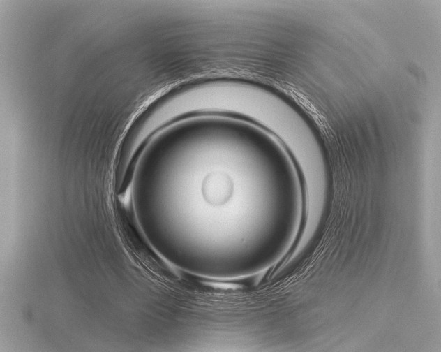 X0000116590488200912101542