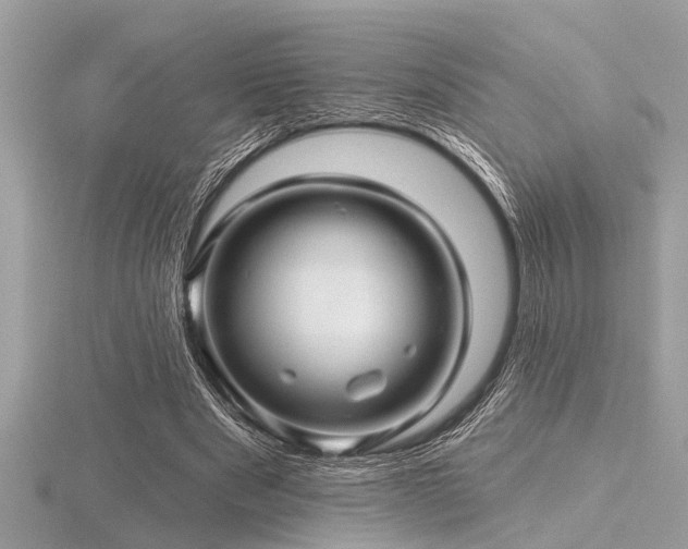 X0000116590489200912101542