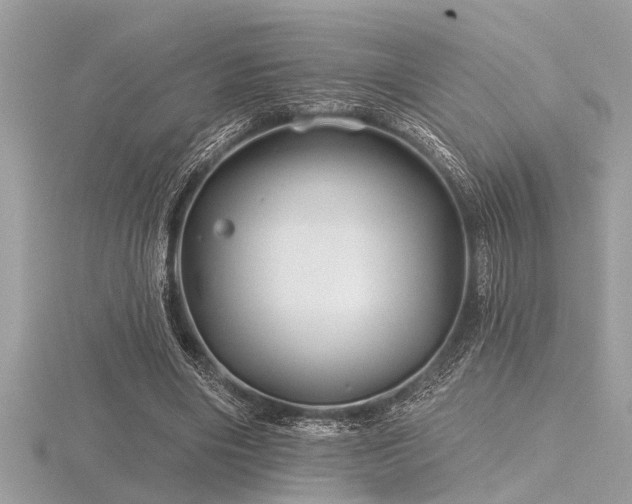 X0000116590490200912101542