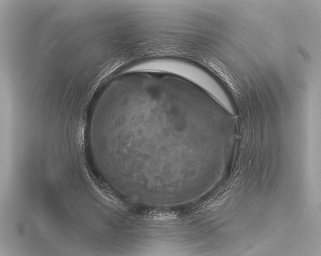 X0000116590491200912101542