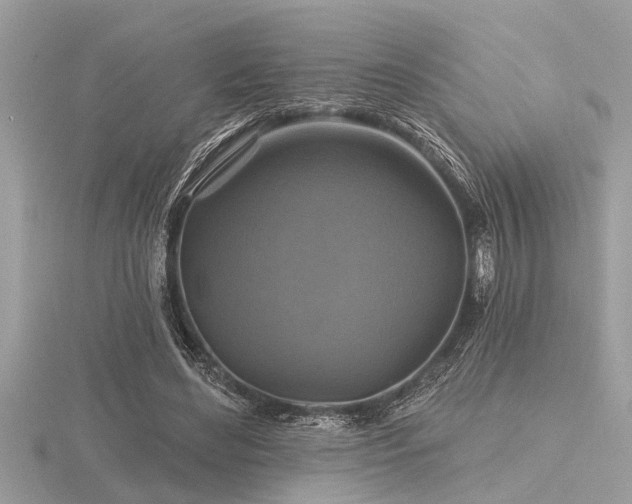 X0000116590492200912101542