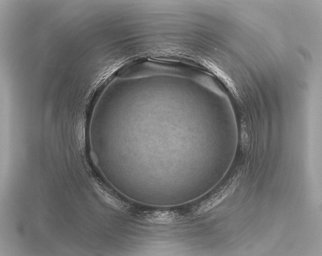 X0000116590493200912101542