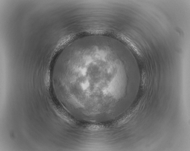 X0000116590494200912101542