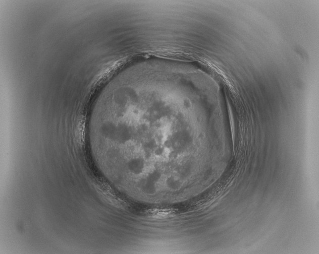 X0000116590495200912101542