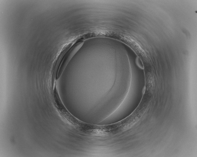 X0000116590496200912101542