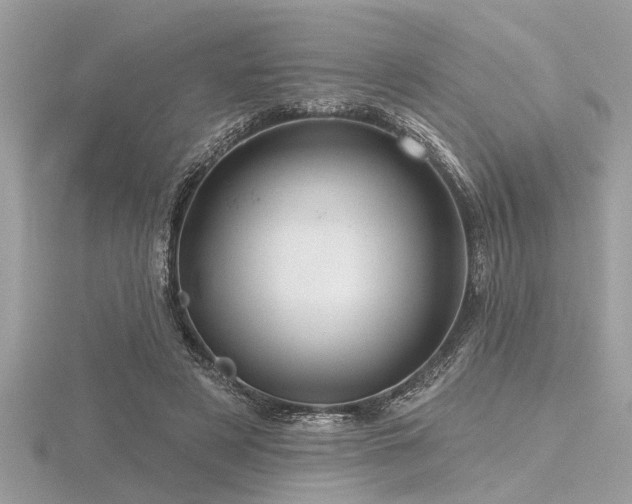 X0000116590497200912101542