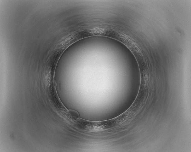 X0000116590498200912101542