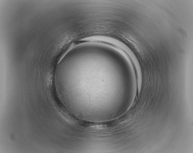 X0000116590499200912101542