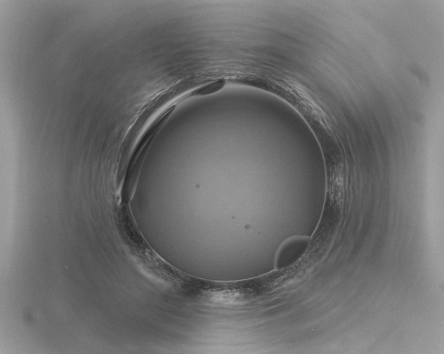 X0000116590500200912101542