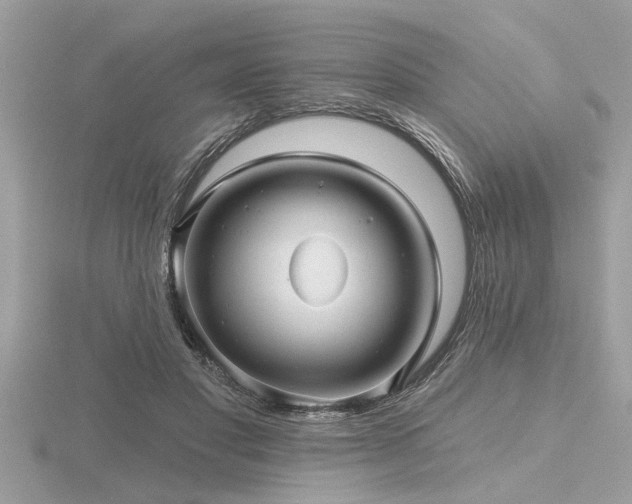 X0000116590501200912101542