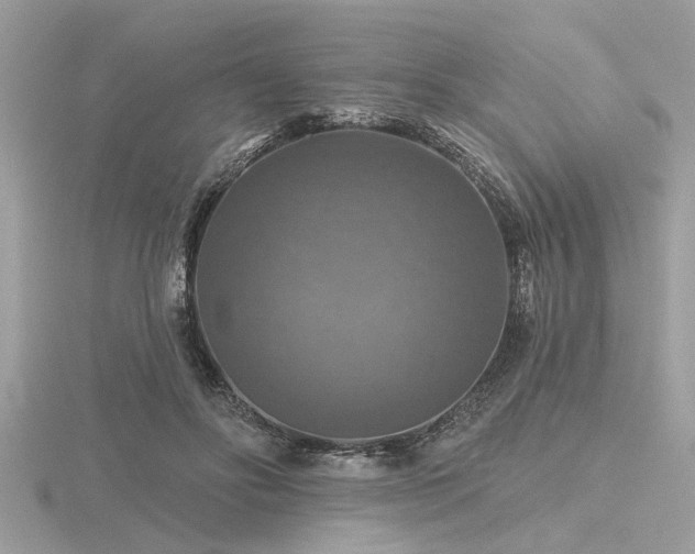 X0000116590502200912101542