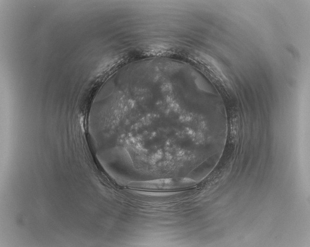 X0000116590503200912101542