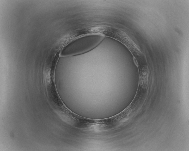 X0000116590504200912101542