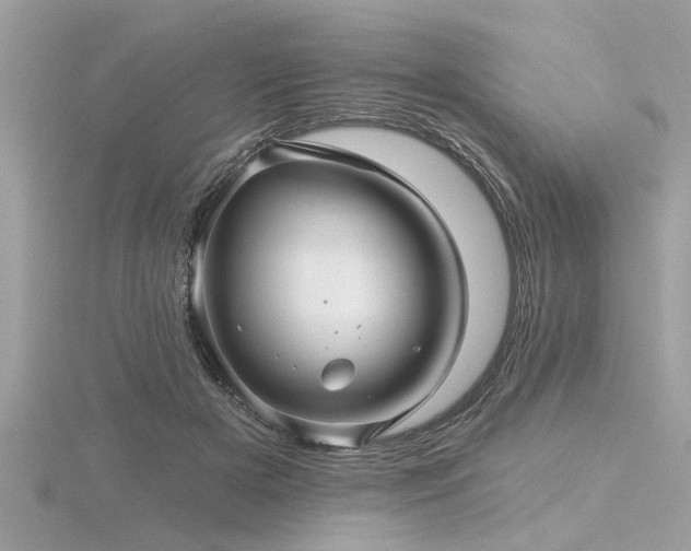 X0000116590505200912101542