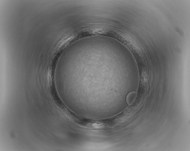 X0000116590506200912101542