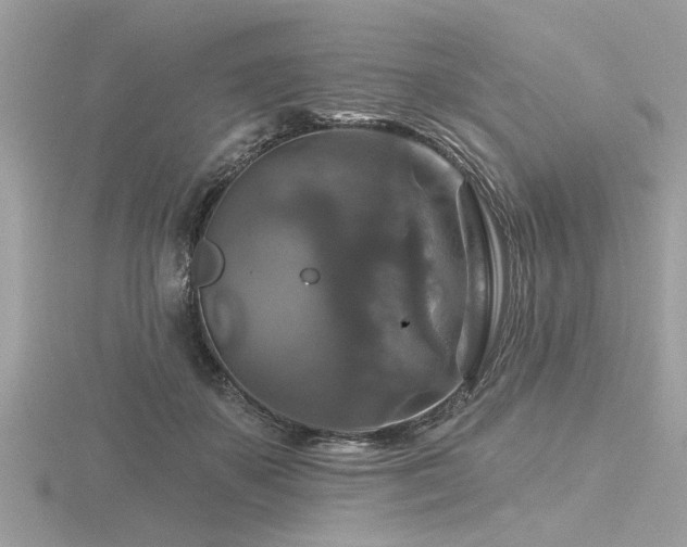 X0000116590507200912101542