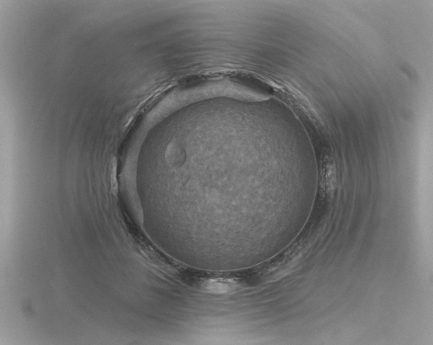 X0000116590508200912101542