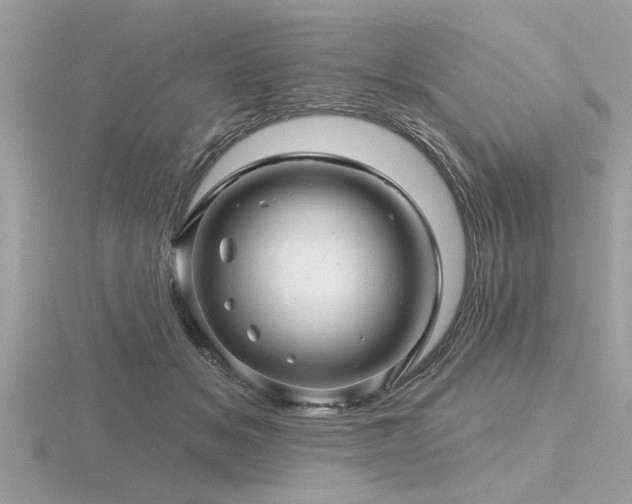 X0000116590509200912101542