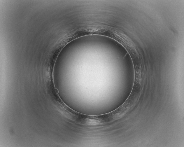 X0000116590510200912101542