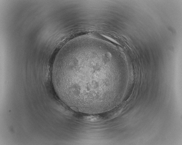 X0000116590511200912101542