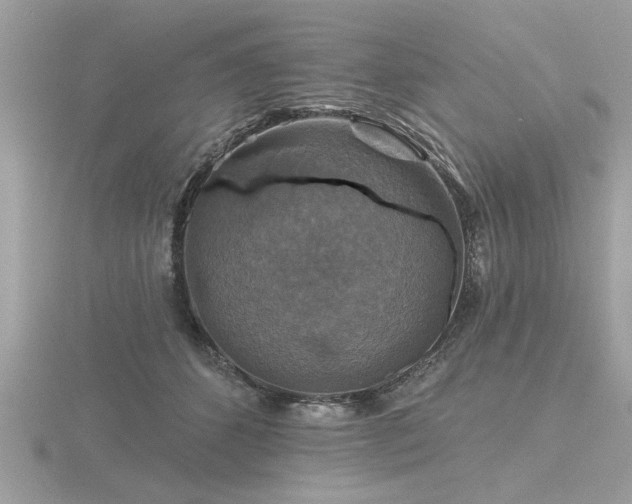 X0000116590512200912101542