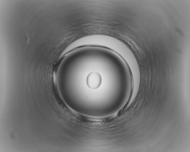 X0000116590513200912101542