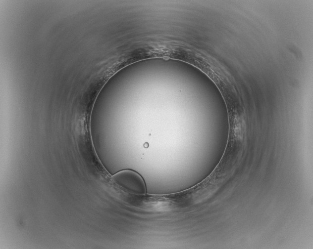 X0000116590514200912101542