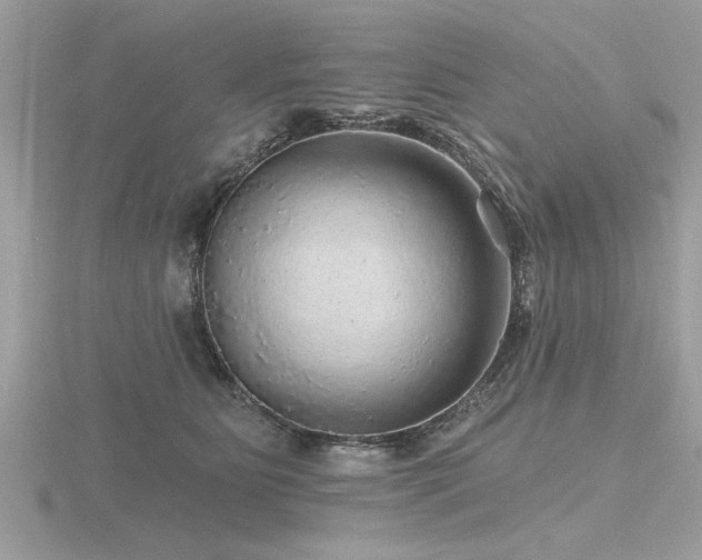 X0000116590515200912101542