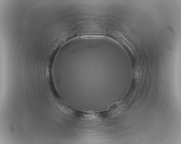 X0000116590516200912101542