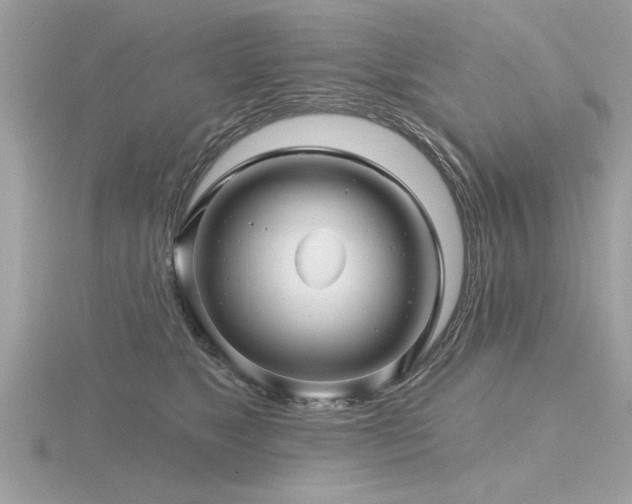 X0000116590517200912101542